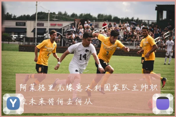阿莱格里无缘意大利国家队主帅职位未来将何去何从