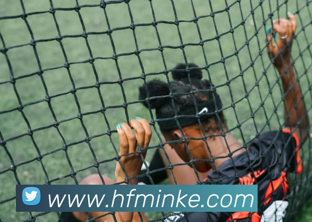 九游j9官网入口APP 封面图